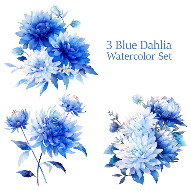 Vector Watercolor Blue Dahlia Floral Clipart