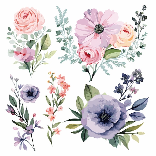 vector watercolor flower bouquet collection