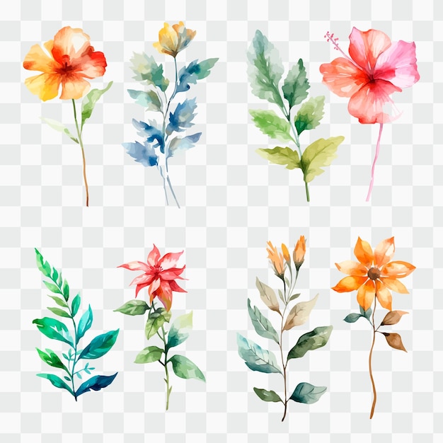 Vector watercolor flowers on a transparent background