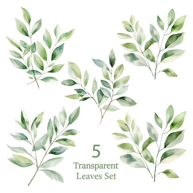 Vector Watercolor leaves Set for floral arrangement