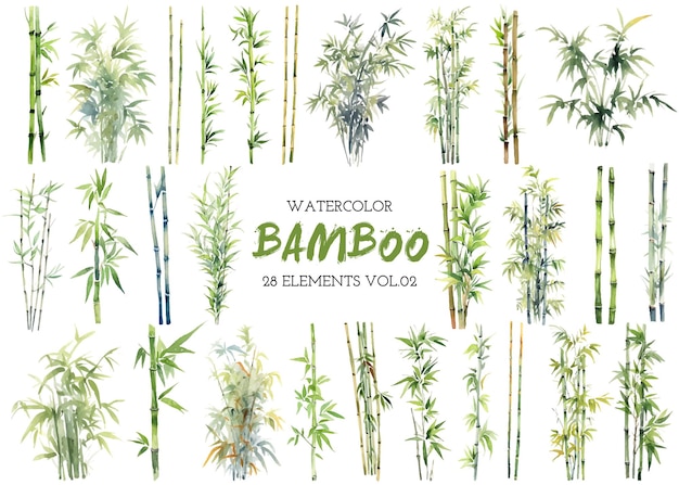 Vector watercolor painted bamboo clipart Hand drawn design elements isolated on white background