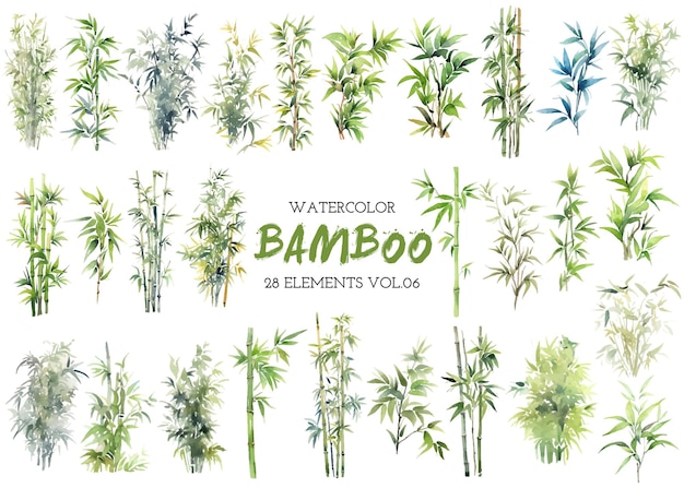 Vector watercolor painted bamboo clipart Hand drawn design elements isolated on white background