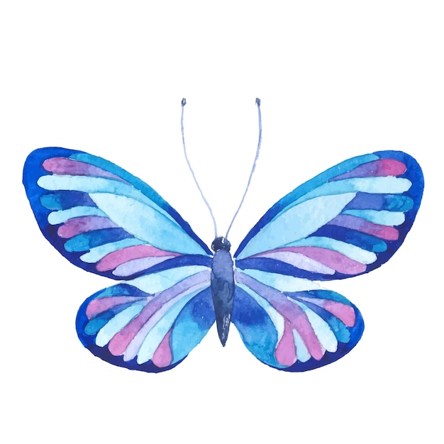 Vector Watercolor painted butterfly Hand drawn design elements isolated on white background