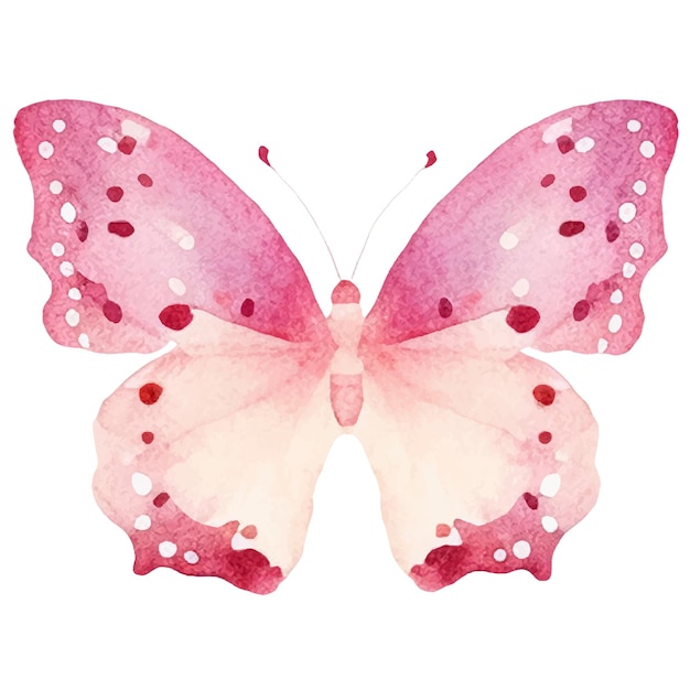 Vector watercolor painted butterfly Hand drawn design elements isolated on white background