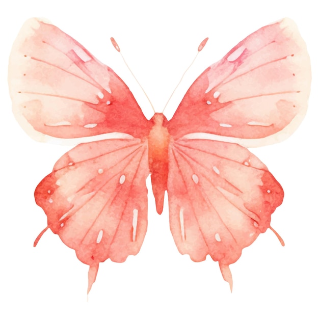 Vector watercolor painted butterfly Hand drawn design elements isolated on white background