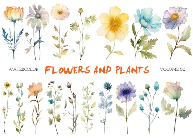 Vector watercolor painted flowers Hand drawn flower design elements isolated on white background