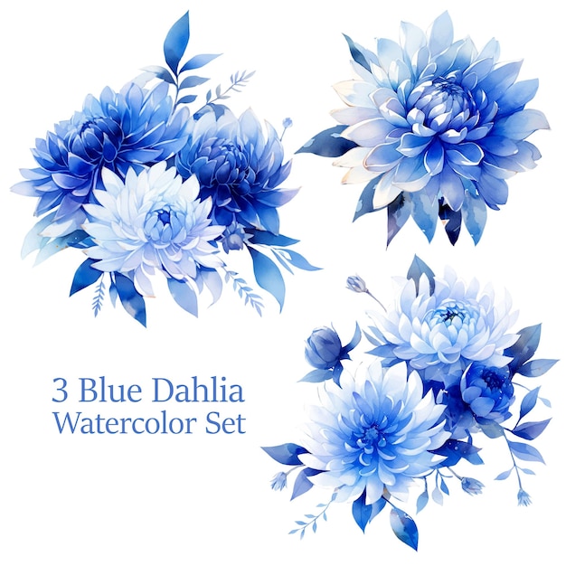 Vector Watercolor Transparent Dahlia Flower