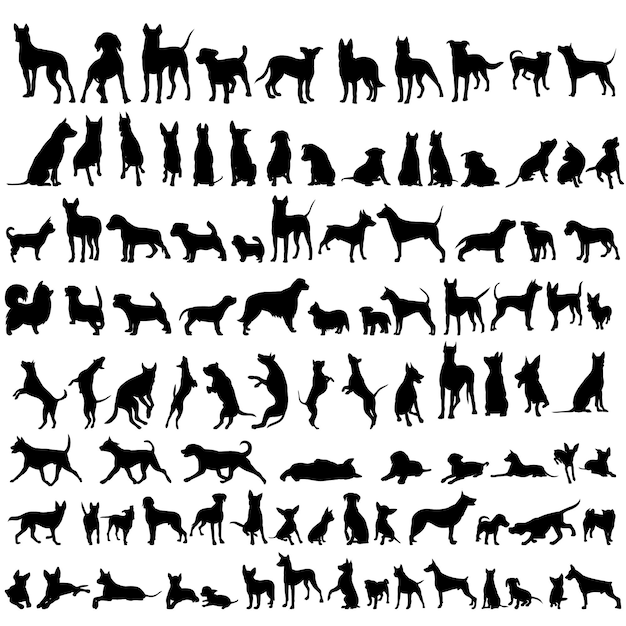 Vector on a white background black silhouette of a standing dog set