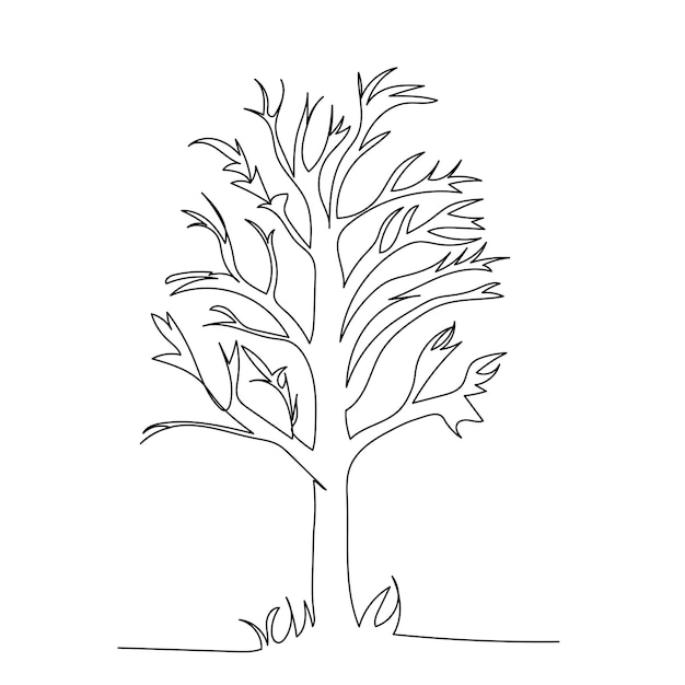 Vector white background single line drawing of a tree