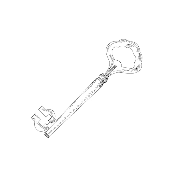 Vector on white background sketch vintage key