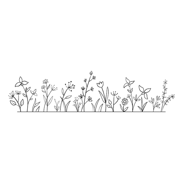 Vector wild herbs and flowers doodle illustration Field with grass plants and wildflowers isolated on white