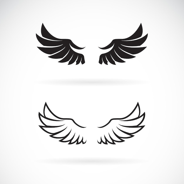 Vector of wing design on white background Wing icon Animal Easy editable layered vector illustration