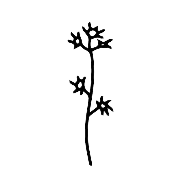 Vector winter plant doodle illustration