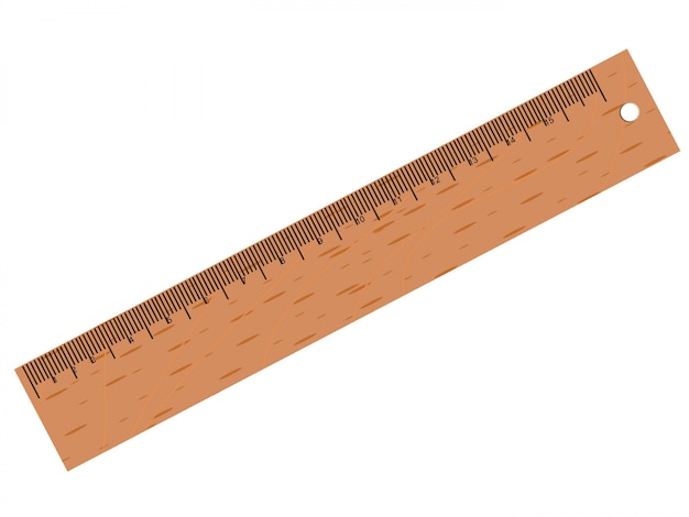 Vector vector wooden ruler