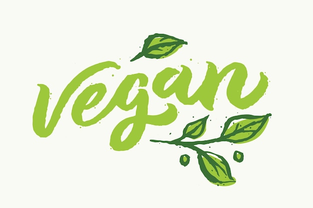 Vector vegan handwritten lettering for restaurant cafe menu