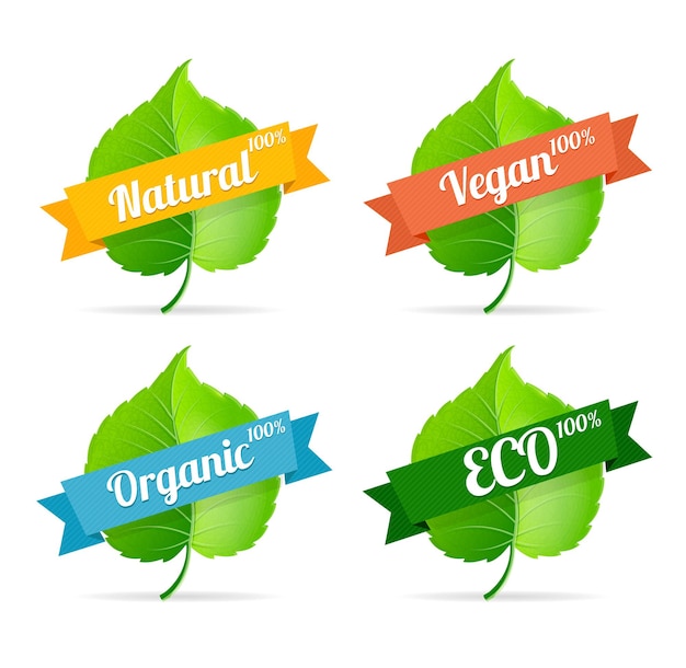 vegan shop labels set isolated. Can be used for restaurants and shops