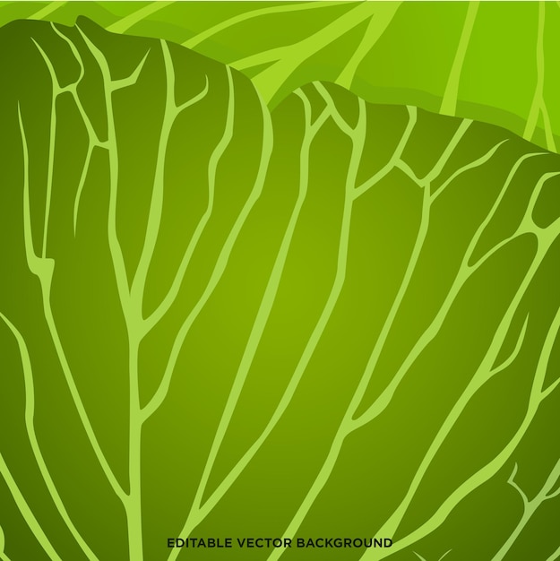 Vector vegetable background with abstract shape