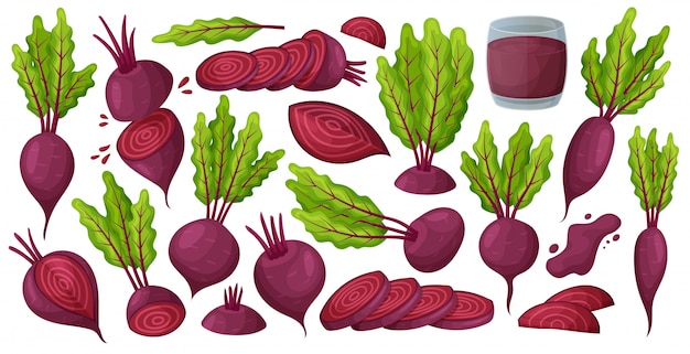 Vegetable of beet vector cartoon set icon