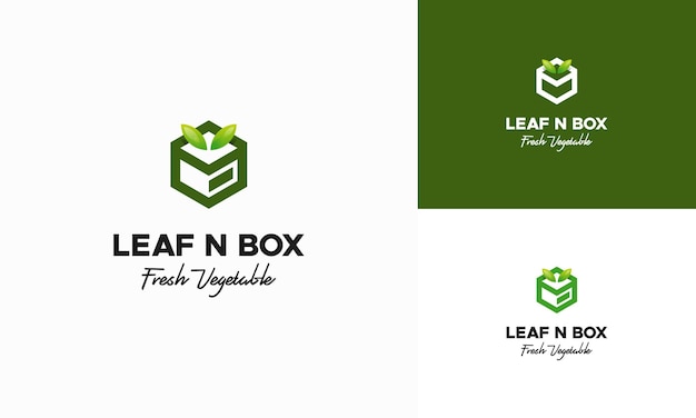 Vegetable Box logo designs concept vector Nature Box logo designs icon Nutrition Box logo symbol