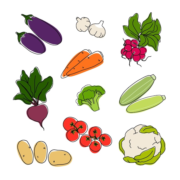 vegetable collection used for recipe book, menu, farm product design, vegetarian shop, market label