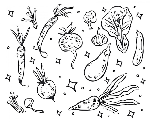 vegetable doodle  illustration