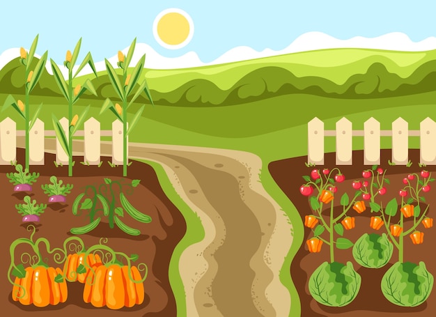 Vegetable farm illustration vector garden agriculture plantation plant farmland background concept