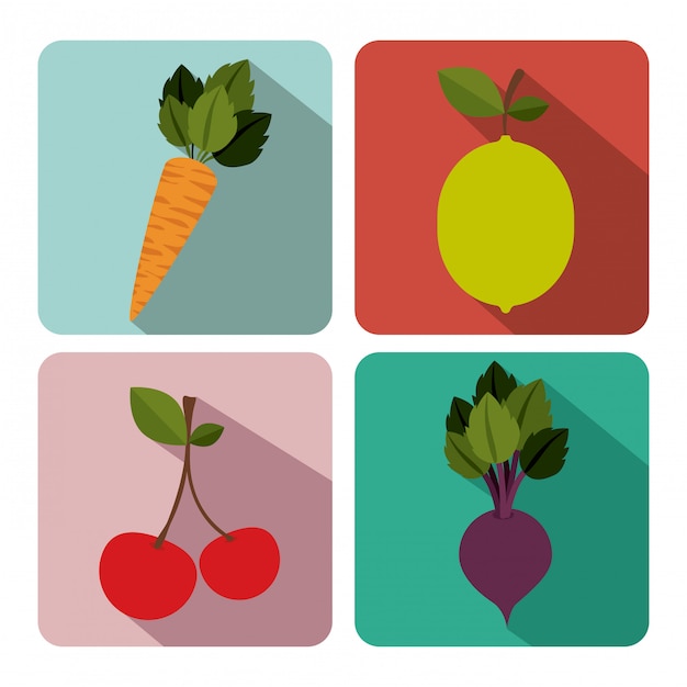 Vegetable and Fruit design