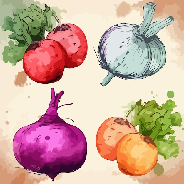 Vegetable sets Vegetable watercolor painting package