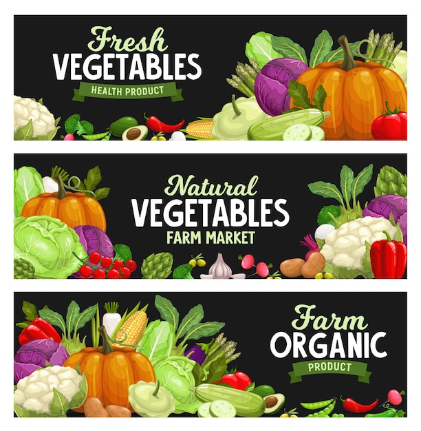 Vegetables banners, farm market food veggies, organic harvest. Natural healthy garlic, pepper and pumpkin, cauliflower and vegetarian artichoke, potato and pepper, broccoli cabbage and zucchini