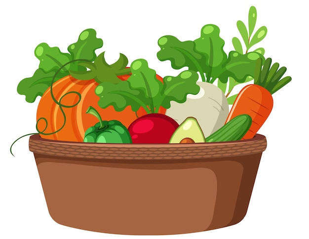 Vegetables in a basket on white background