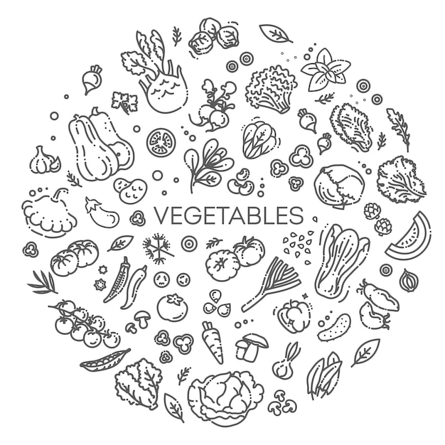 Vegetables doodle drawing collection Vector line illustration