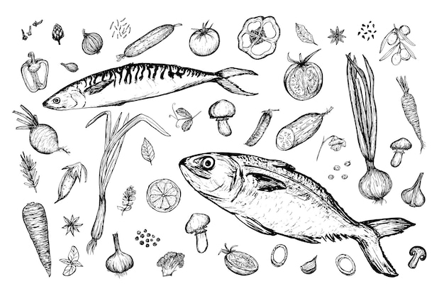 Vector vegetables fish spices big set sketch hand drawn illustration on white background harvesting food vector image black and white handdrawn drawing various food items for the stores signage