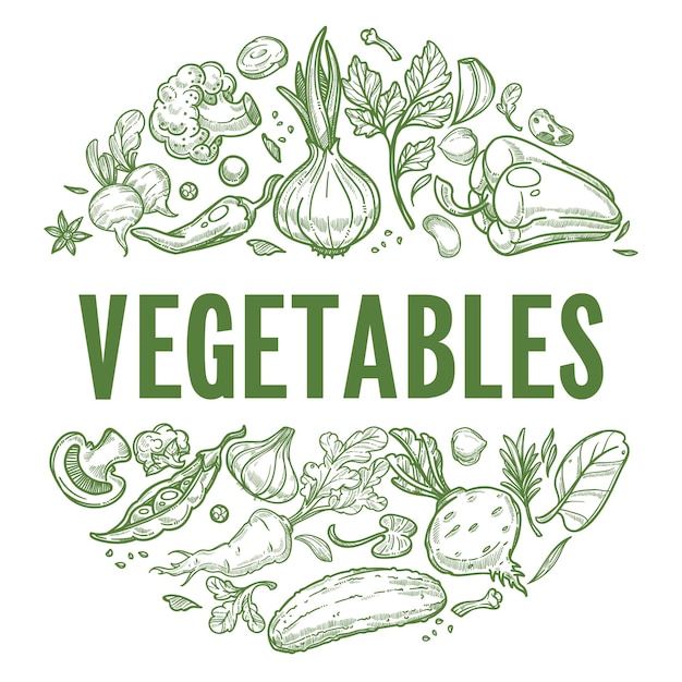 Vegetables fresh greenery and products labels