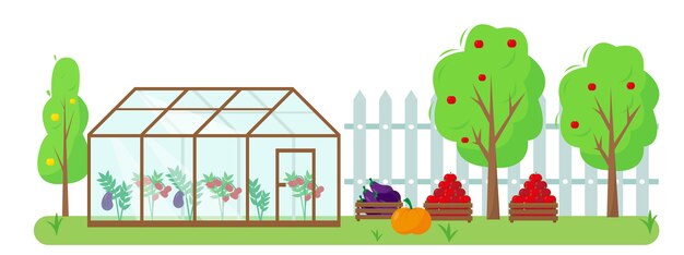 Vegetables , fruits and greenhouse in the garden. Gardening and harvesting concept . Autumn or summer banner or background  illustration.