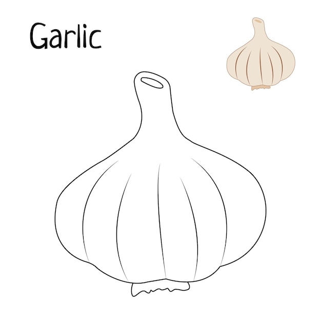 Vegetables Garlic Coloring Pages For Kids