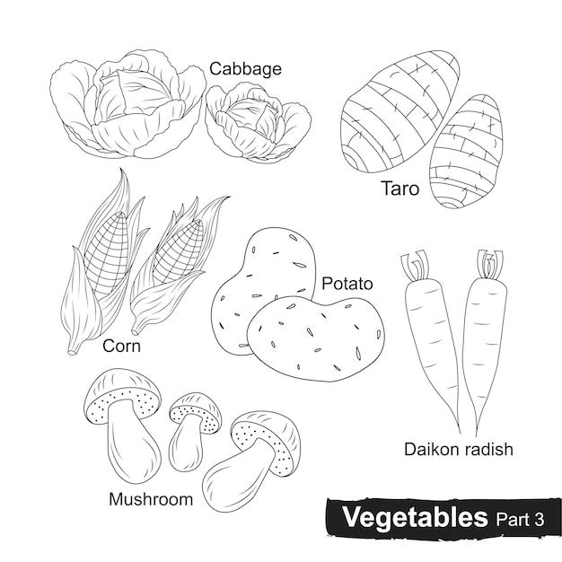 Vegetables hand drawn collection  Part 3