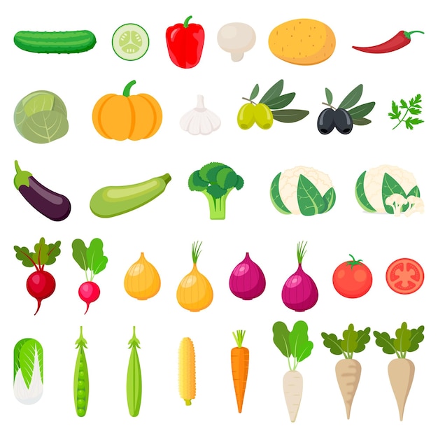 Vegetables icons Collection farm product isolated on white background Vector illustration