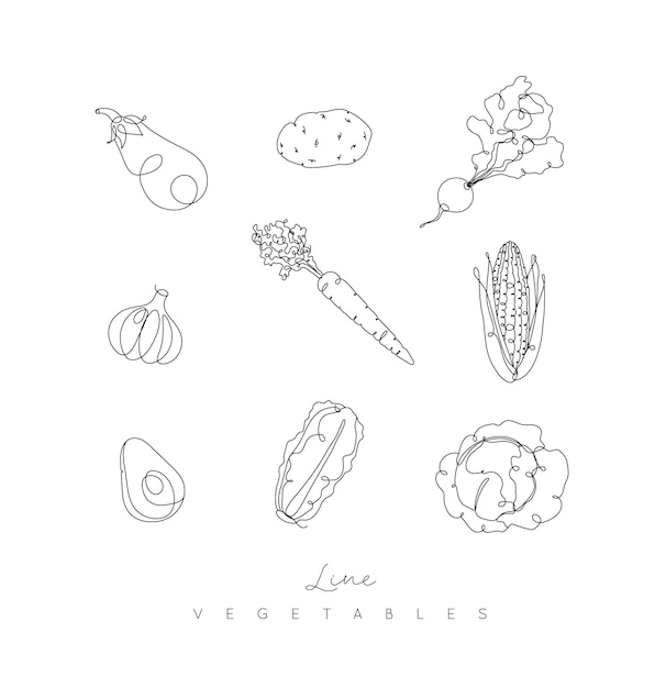 Vegetables icons eggplant, potato, radish, garlic, carrot, corn, avocado, cabbage in pen line style