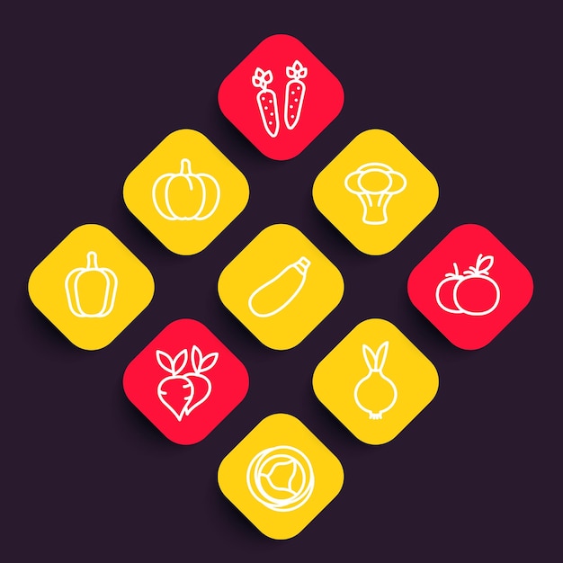 Vegetables icons set courgette carrot broccoli pumpkin cabbage beet tomato onion linear pictograms