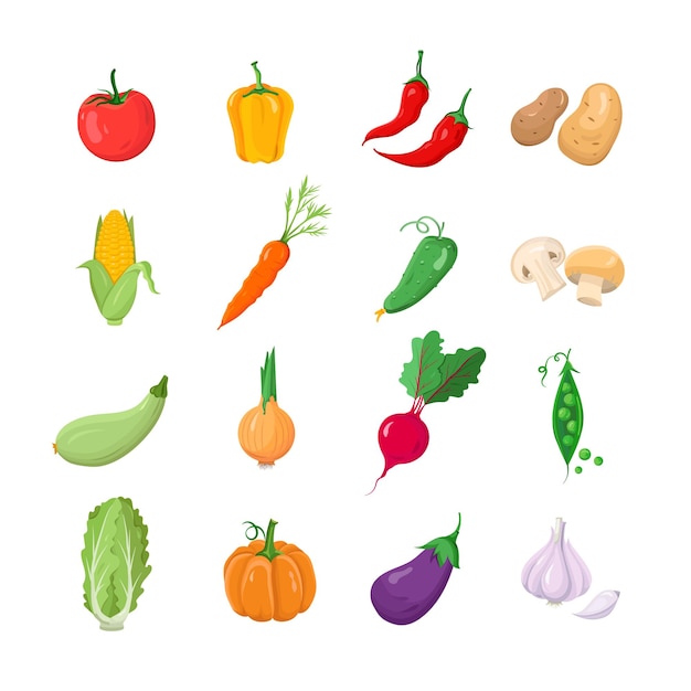 Vegetables - modern color vector icons set. Tomato, sweet, hot pepper, potato, corn, carrot, cucumber, mushroom, squash, onion, radish, peas, salad, pumpkin, eggplant, garlic