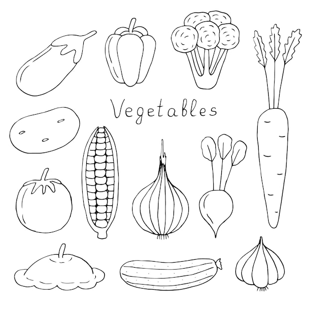 Vegetables set vector illustration, hand drawing doodles