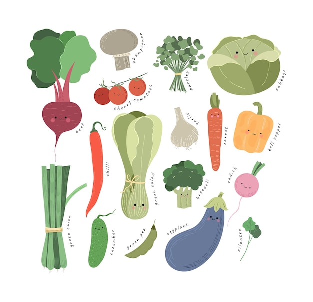 Vegetables vector card in cute style on white background. Cartoon vector illustration. Vegetables is