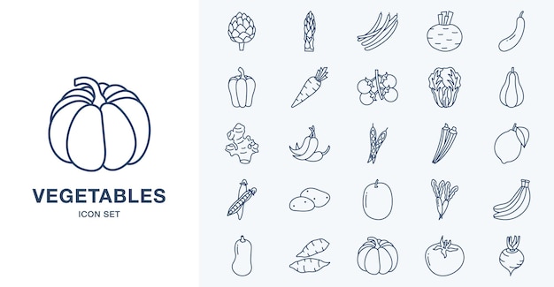 Vegetables vector icon illustration