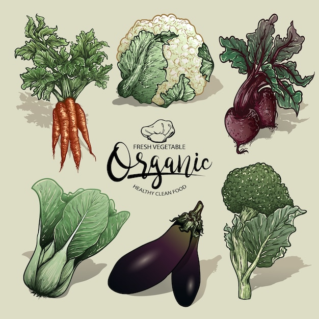 vegetables vector set