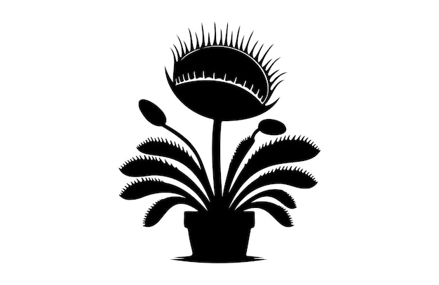 venus flytrap icon of silhouette vector illustration in white background