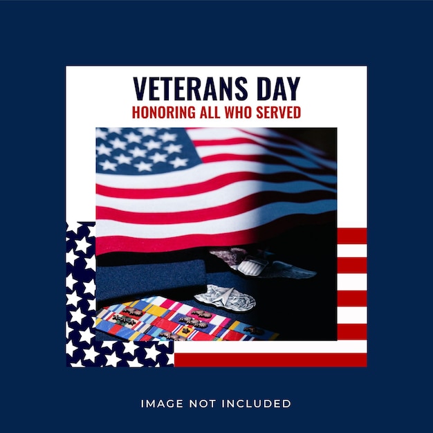 Vector veterans day celebration instagram posts