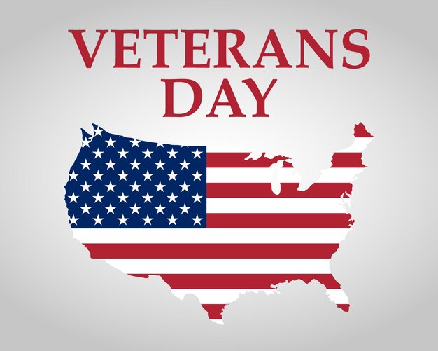 Veterans Day in the United States of America illustration