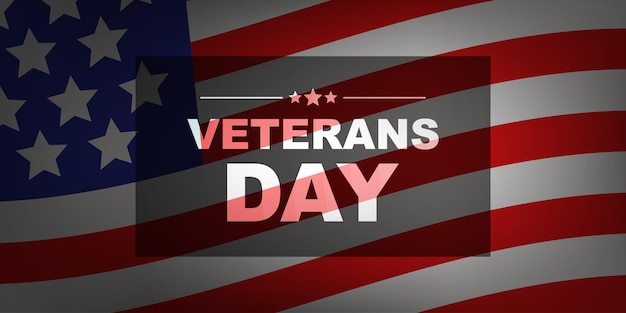 Veterans day vector illustration on USA flag background American patriotic celebration greeting backdrop