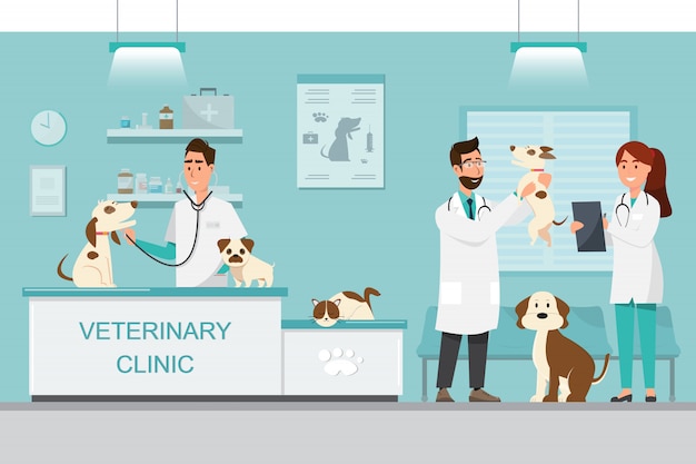 Vector veterinarian and doctor with dog and cat on counter in vet clinic