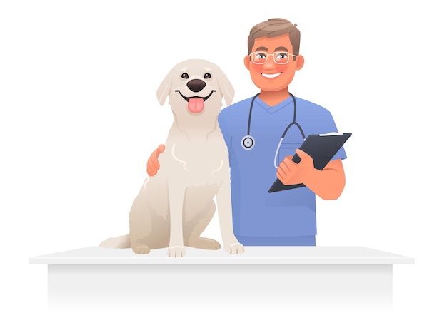 Veterinarian with a dog A vet clinic worker doctor stands next labrador retriever Medical care pets